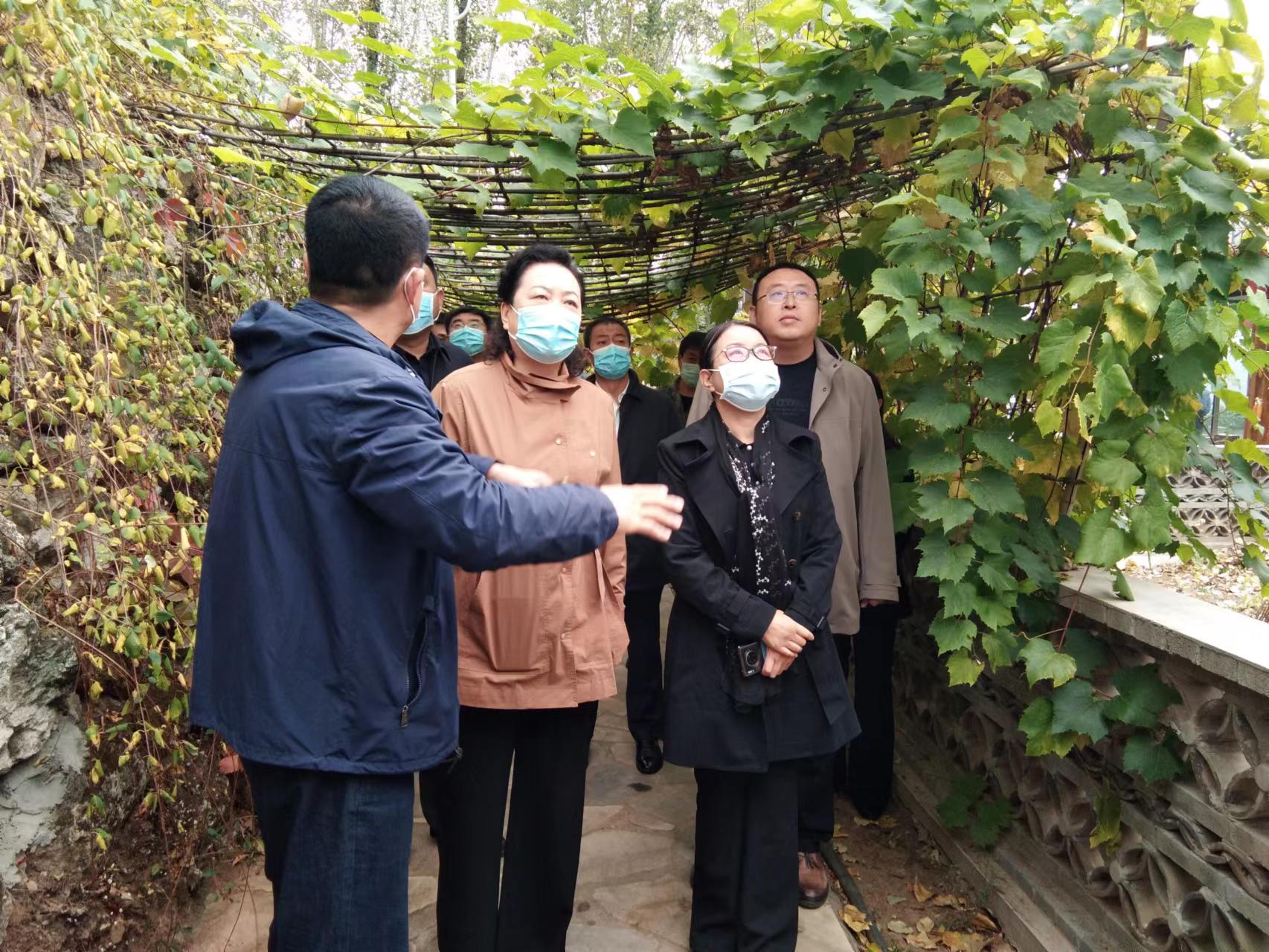 承德市人民政府 领导活动 市旅游和文化广电局局长唐秋华同志带队赴